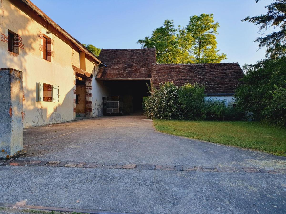 Ferme Equestre & Chambres D'Hotes Gateau Stables Proche Guedelon Saint-Amand-en-Puisaye Exterior foto